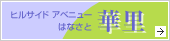qTChAxj[ؗ